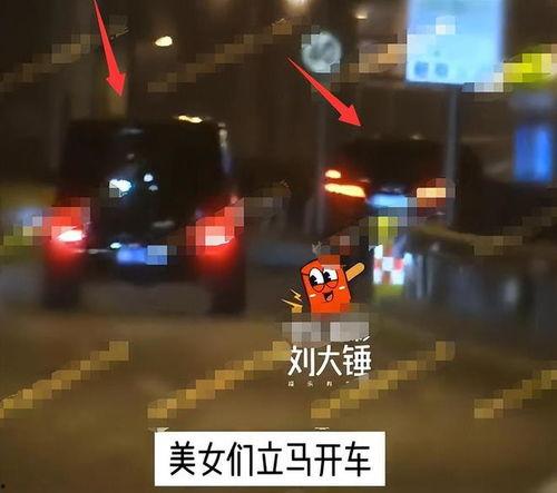 大锤爆料最新视频大全,揭秘娱乐圈幕后真相