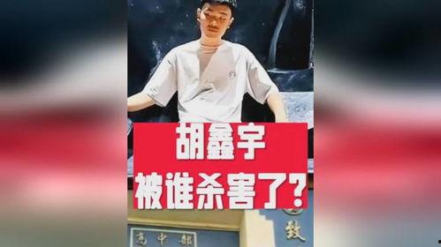 胡鑫宇最新爆料视频,事件背后惊人真相曝光
