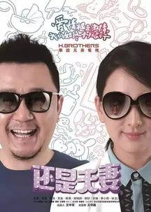还是夫妻电视剧全集在线观看,情感纠葛，婚姻抉择，揭秘现代婚姻真相