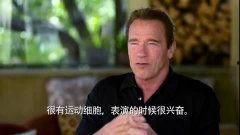 阿诺最新爆料消息视频,揭秘幕后的惊人真相！