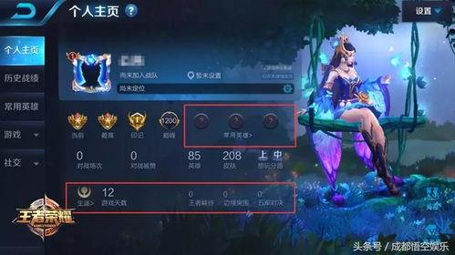 王者灵动爆料在哪看啊视频,揭秘最新游戏动态
