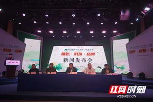 汉寿县新闻爆料电话,倾听民声，守护平安的桥梁