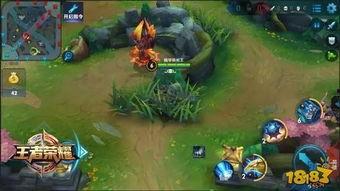 猎鹰密藏爆料视频播放,视频播放背后的神秘世界
