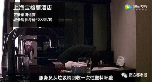 四季最新爆料视频大全,精彩瞬间尽收眼底