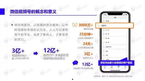 网友爆料鸡蛋视频下载大全,一网打尽，尽享美味瞬间