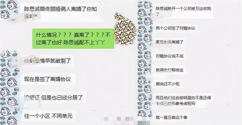 上海网红吃瓜老太太微博,揭秘网络红人的真实生活