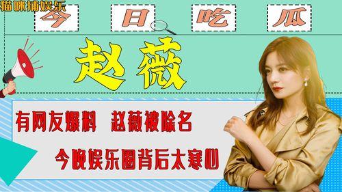 娱乐圈背景爆料是什么,揭秘明星背后的真实故事